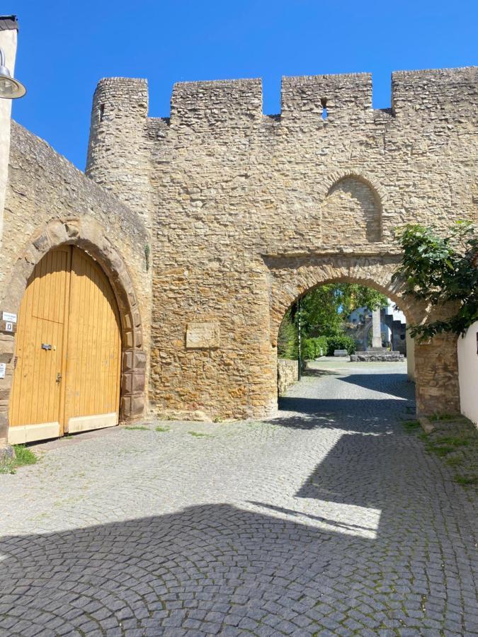 Haeuschen Am Plenzer Villa Ingelheim am Rhein Exterior foto