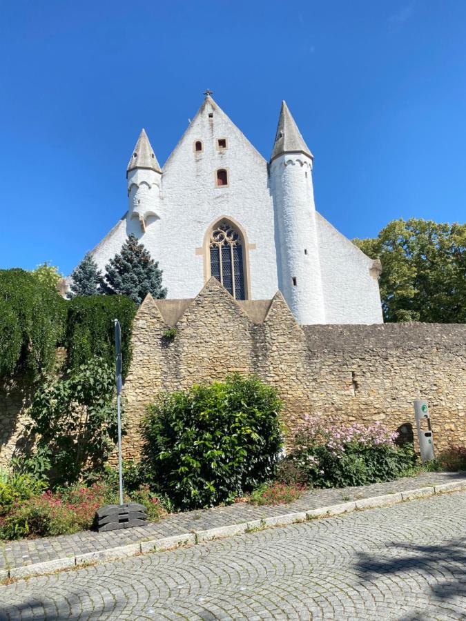 Haeuschen Am Plenzer Villa Ingelheim am Rhein Exterior foto