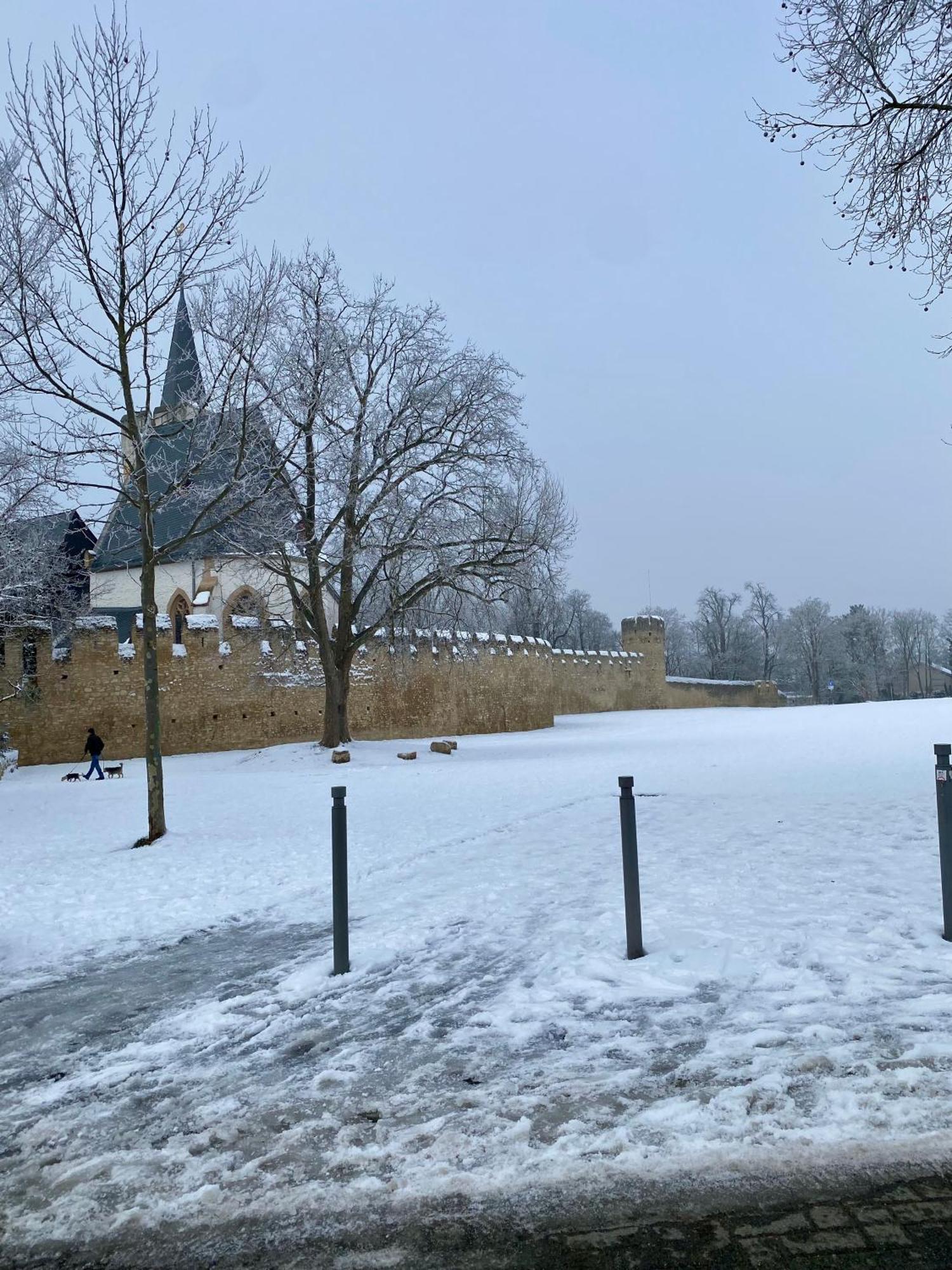 Haeuschen Am Plenzer Villa Ingelheim am Rhein Exterior foto