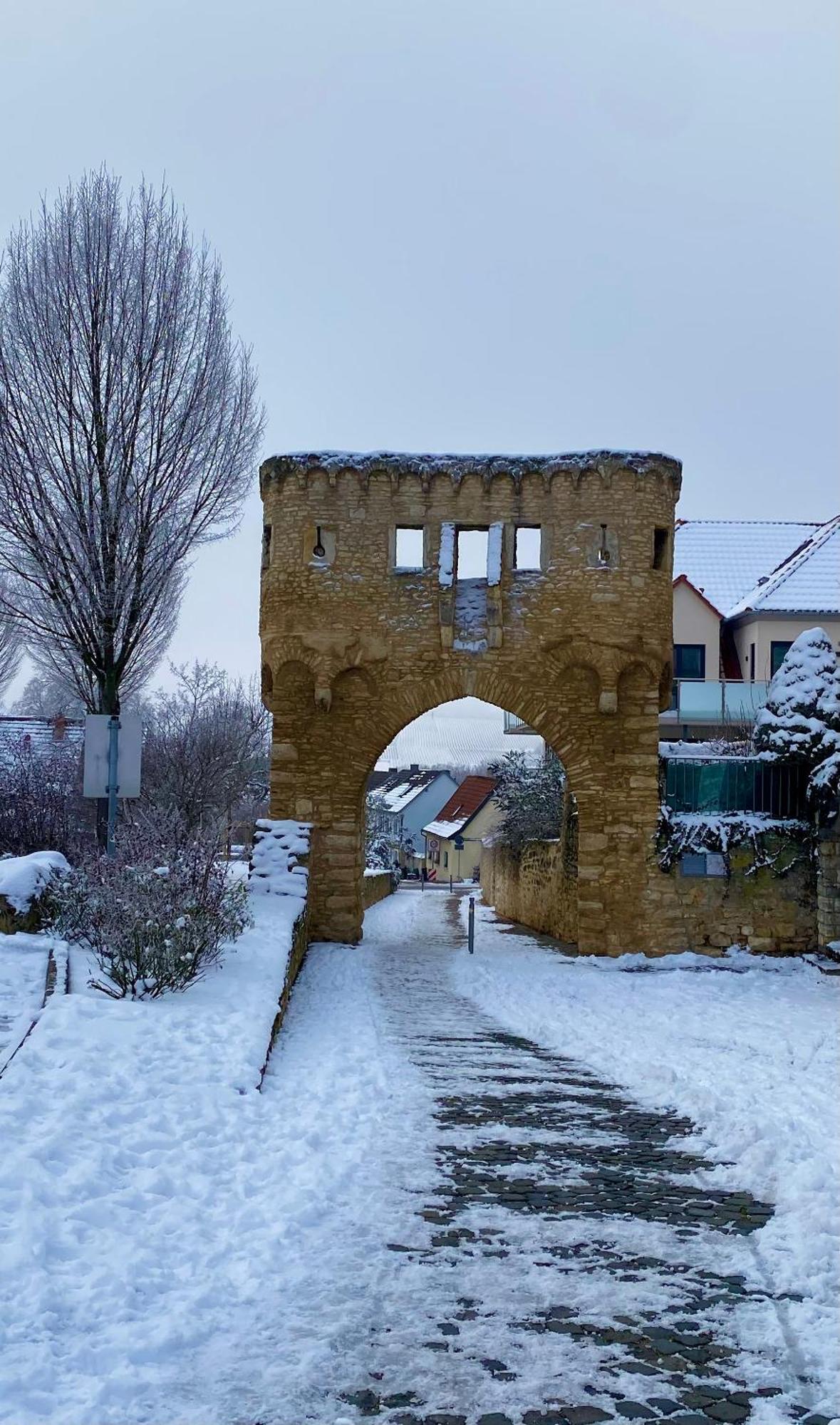 Haeuschen Am Plenzer Villa Ingelheim am Rhein Exterior foto